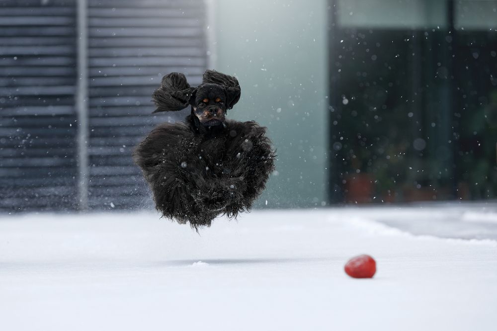 Photograph by Лана Полякова