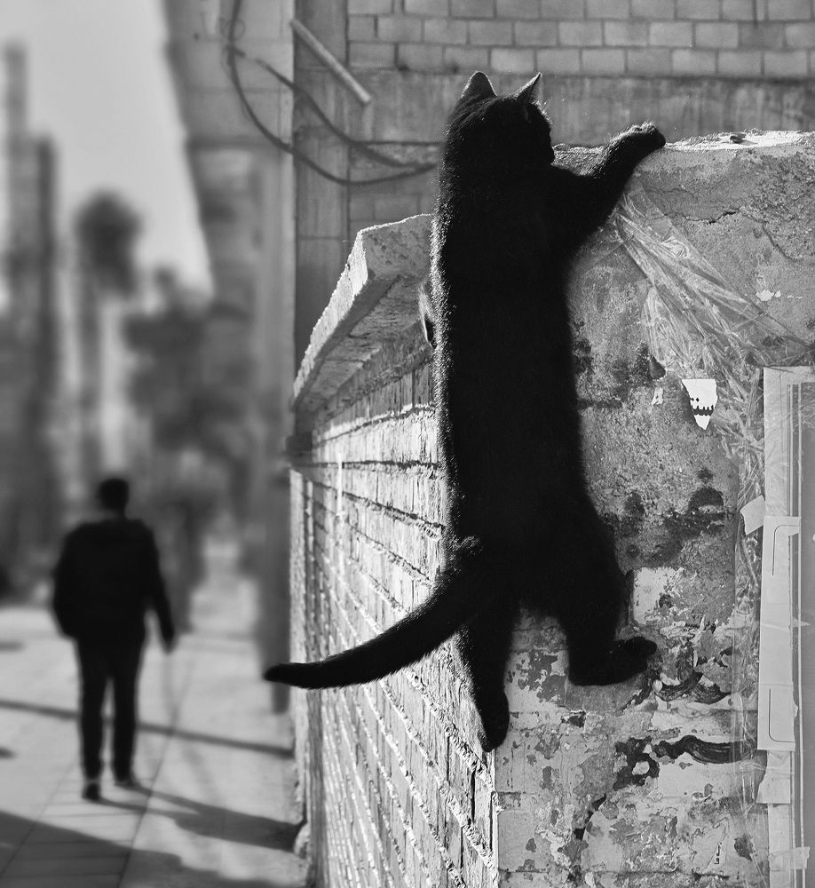 Photograph by Mohammad Dadsetan