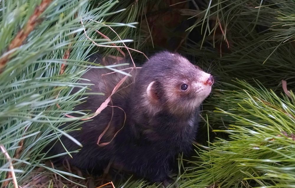 Photograph by андрей