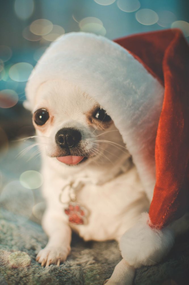 Photograph by Анна Виноградская