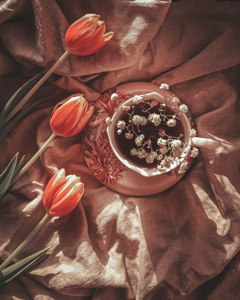 Photograph by Екатерина Мурсынина