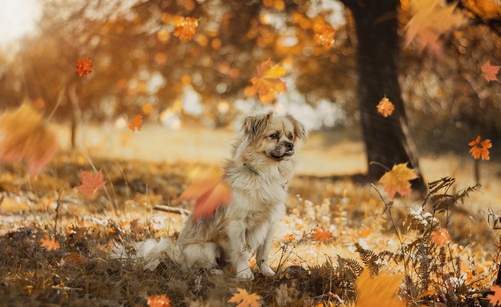 Photograph by Ivan Mandic