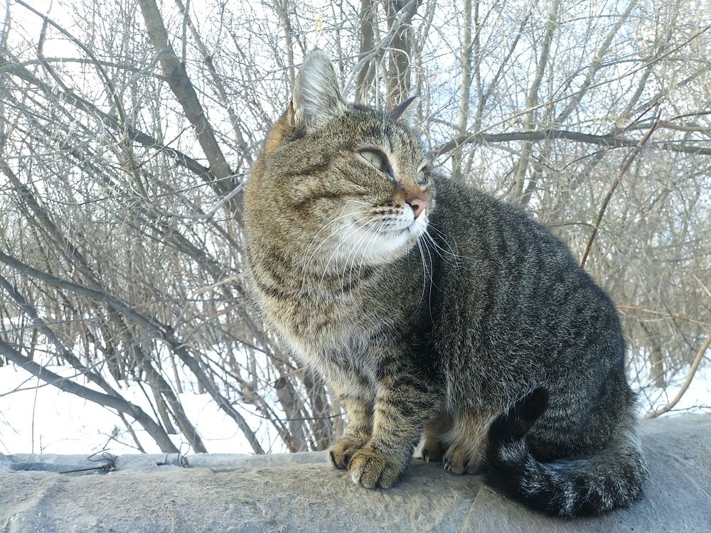 Photograph by Инна Голубева