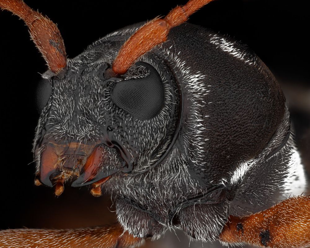 Photograph by Rastislav Borovsky