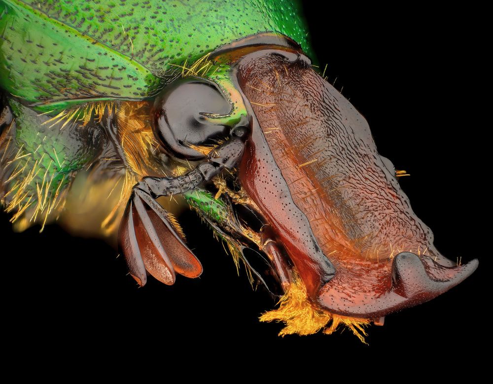 Photograph by Rastislav Borovsky