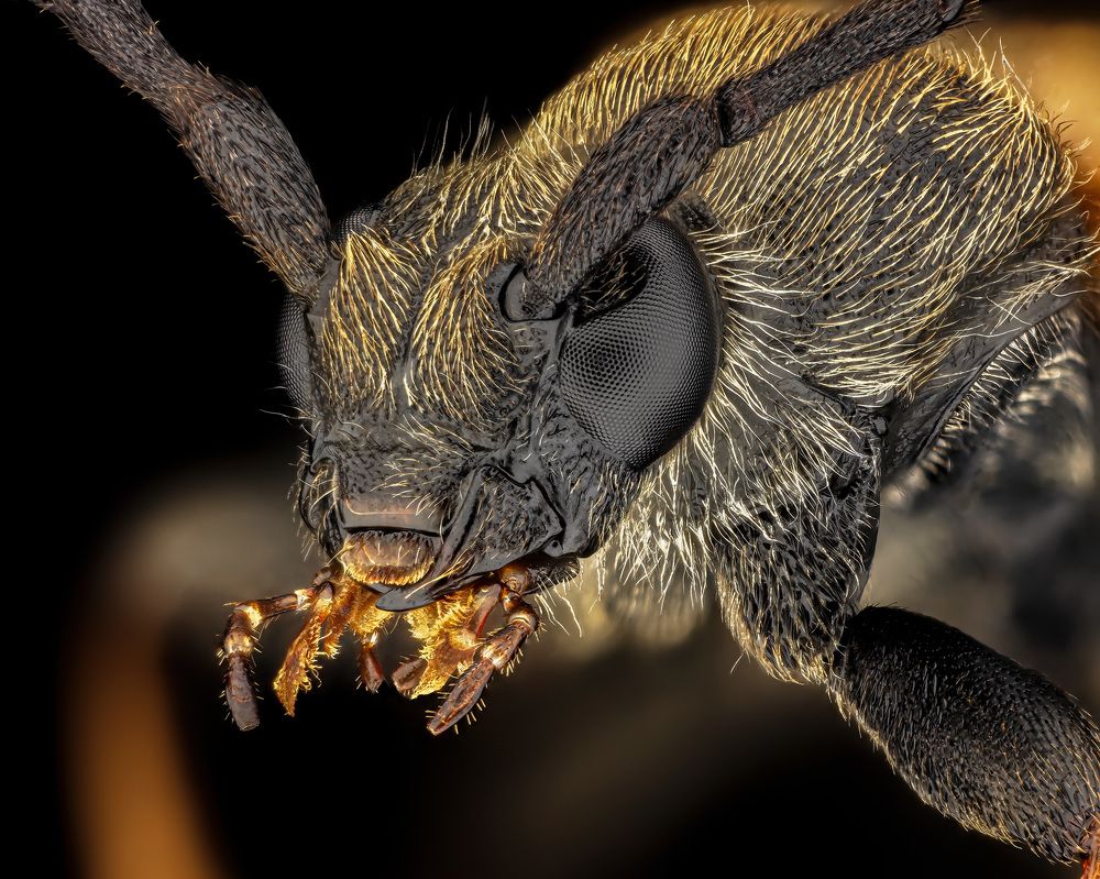 Photograph by Rastislav Borovsky