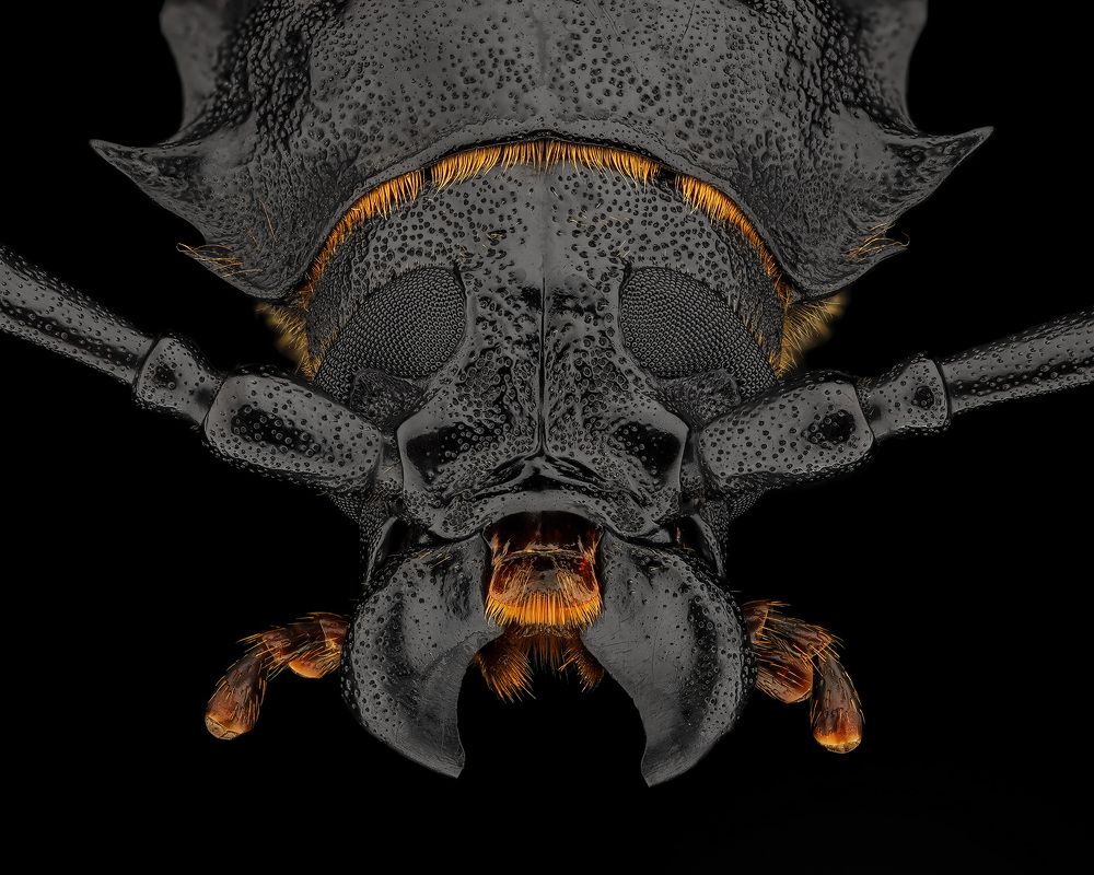 Photograph by Rastislav Borovsky