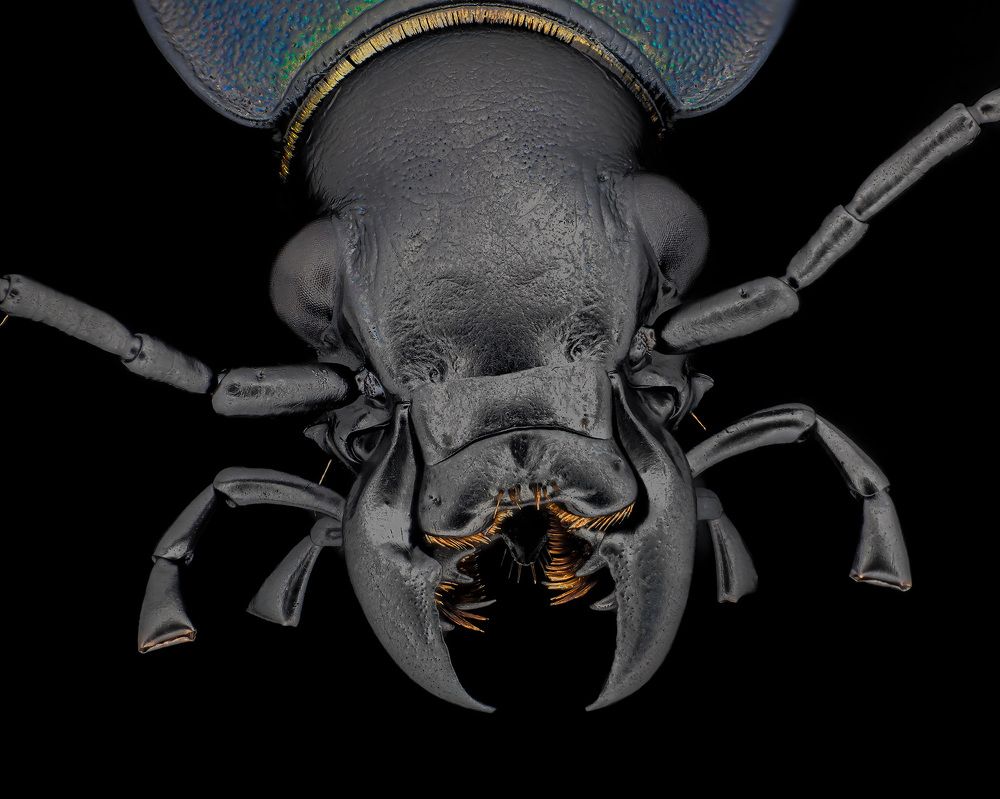 Photograph by Rastislav Borovsky