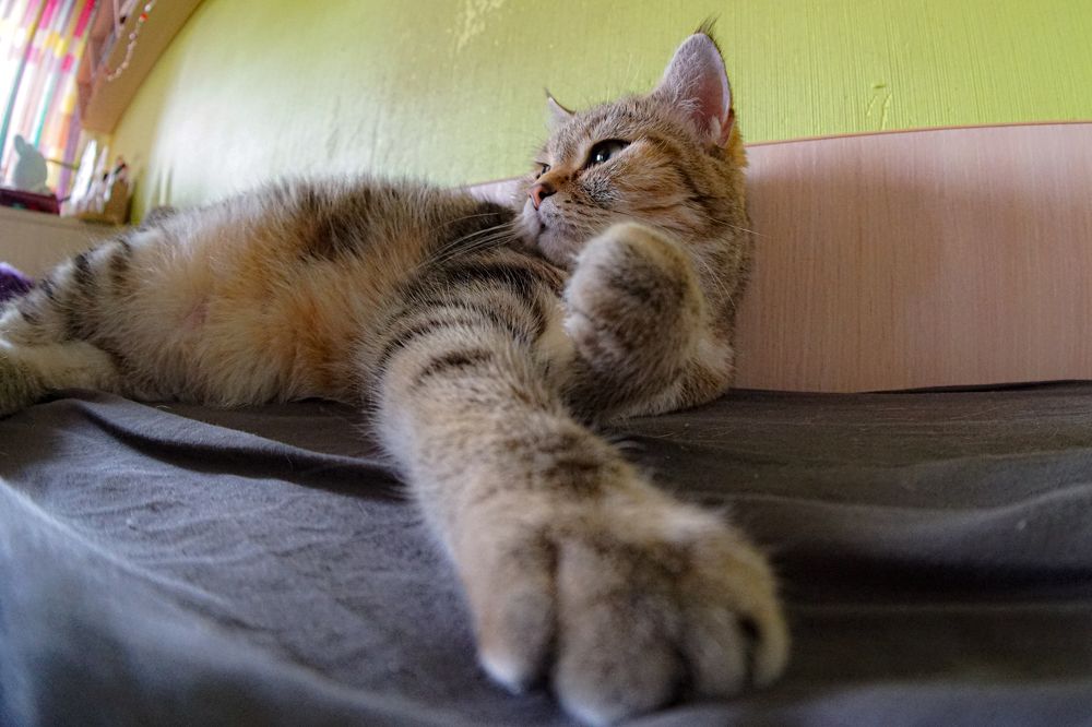 Photograph by Алфия Бугакова