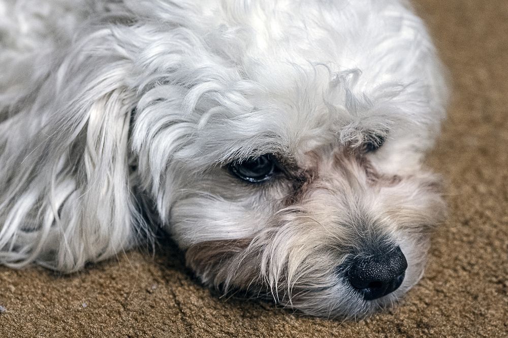 Photograph by Сергей Крылов