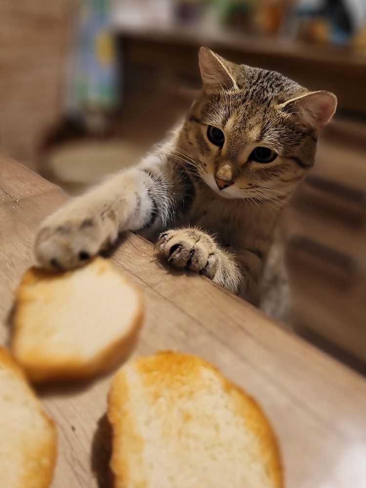 Photograph by Светлана Гаранина