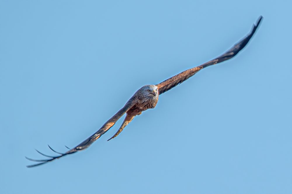 Photograph by Csótai Katalin