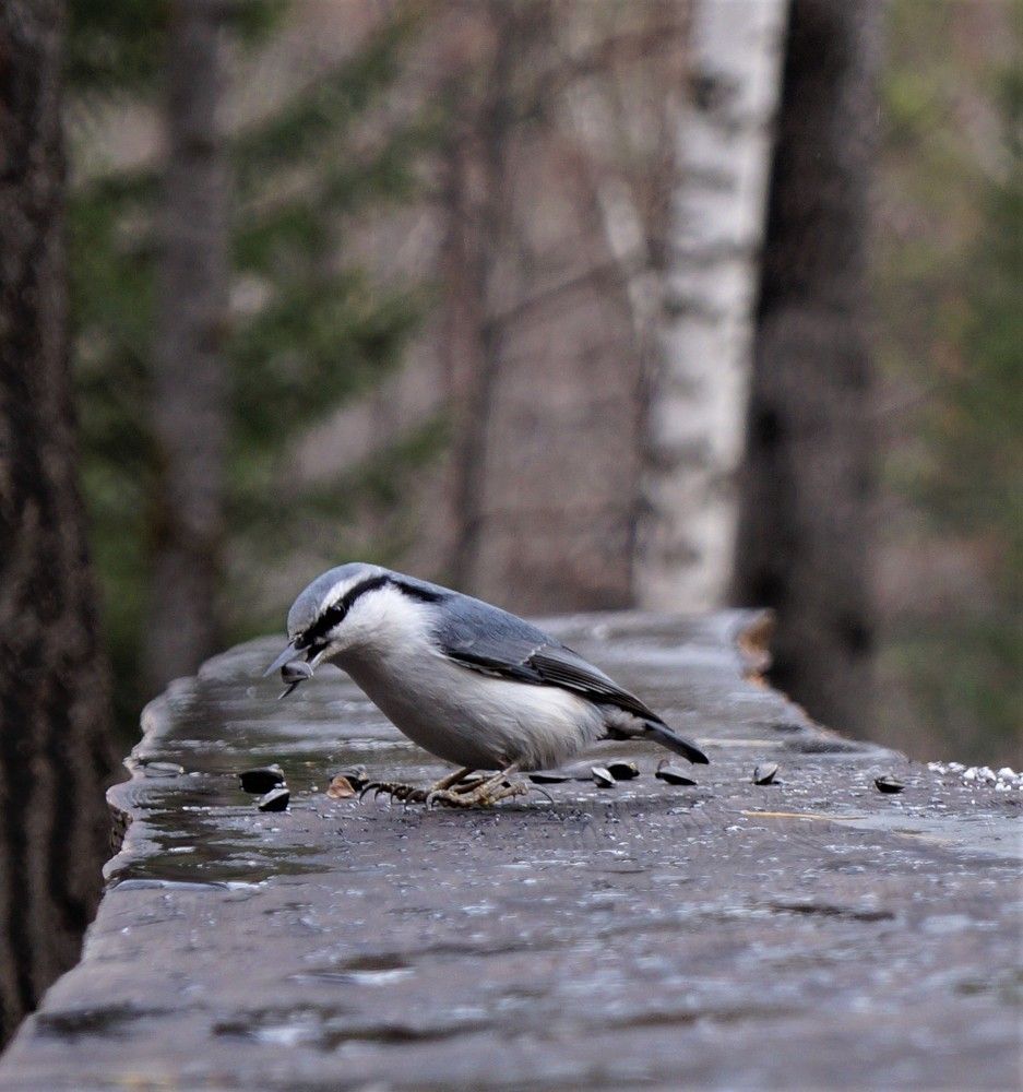Photograph by Юлия Васильева