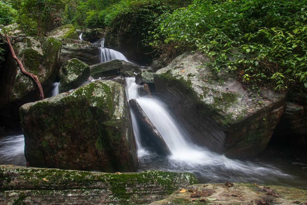 Photograph by Chamara Sulakkhana Polwatta Siriyalage