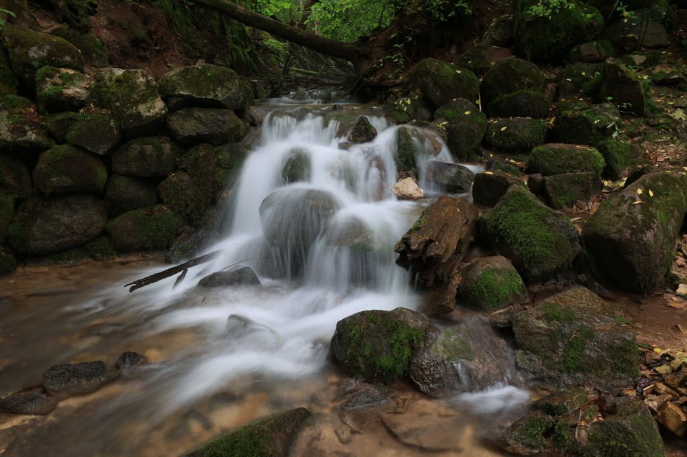 Photograph by Ольга Одаренко