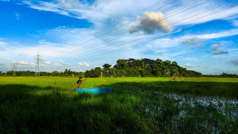 Photograph by MD Rakib Hossain Ontu