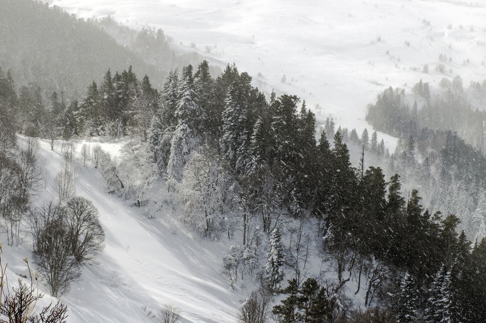 Photograph by Виталий Мартынов