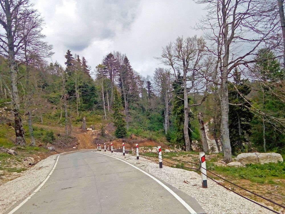 Photo #8994740