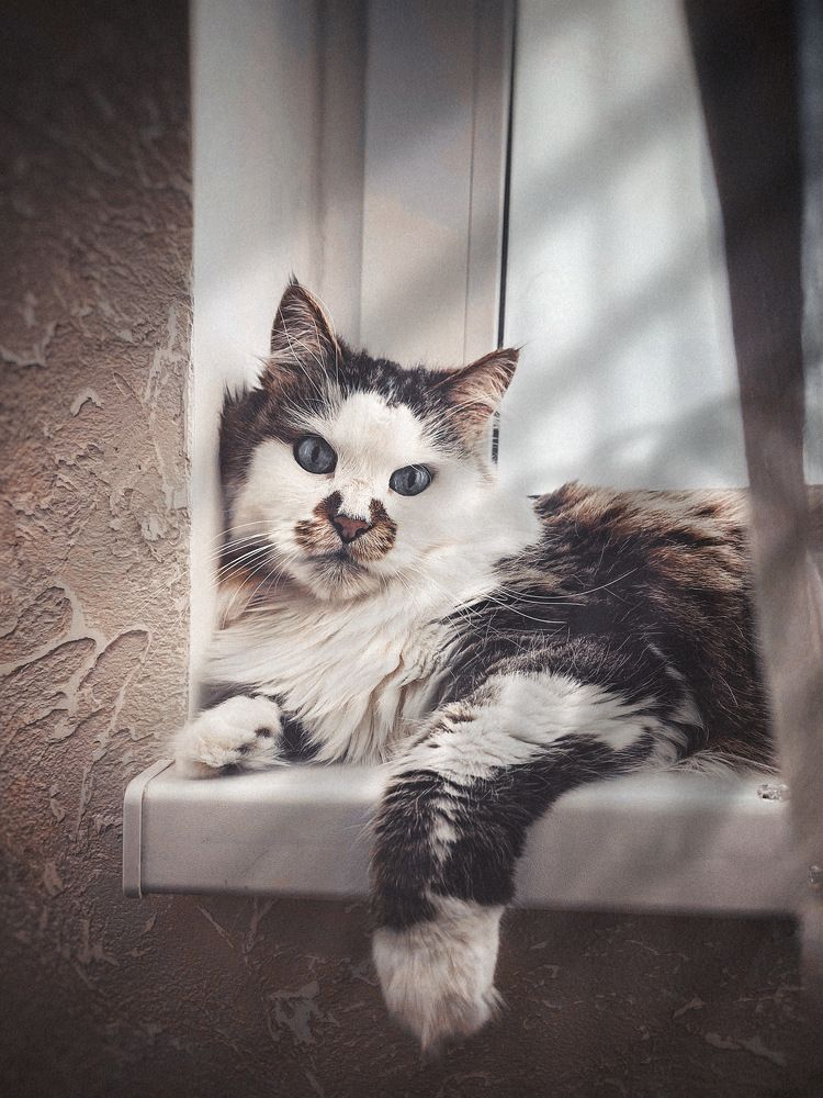 Photograph by Виктория Селютина