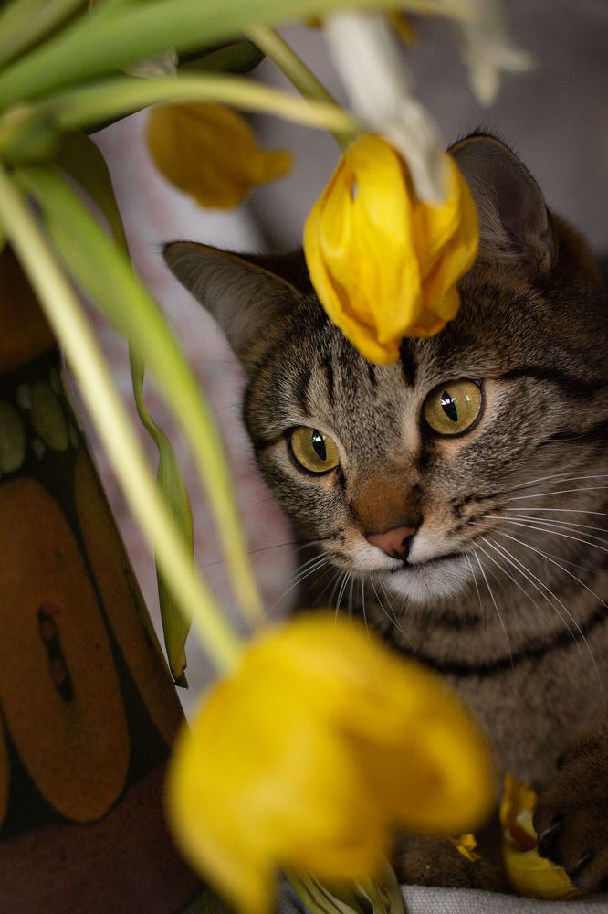 Last Photo of Mery...