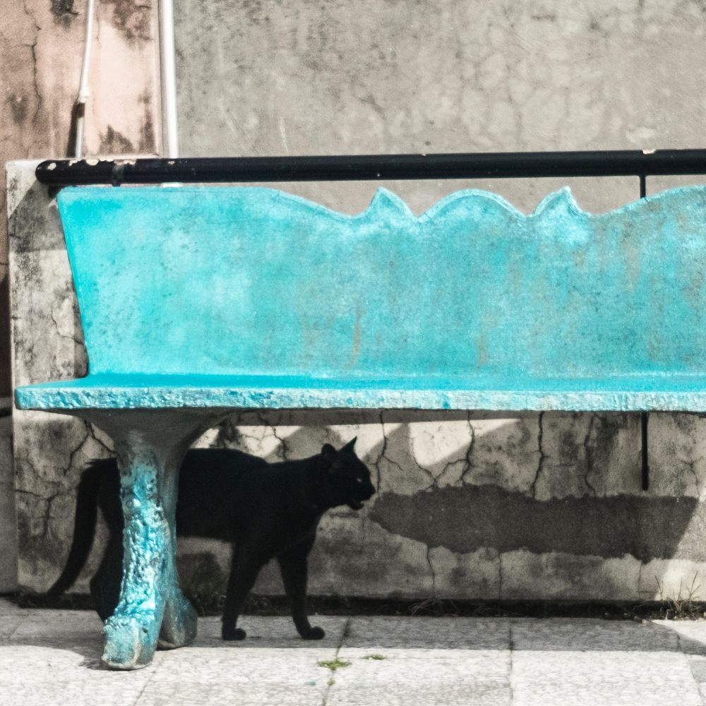 Photograph by Василь Камалов