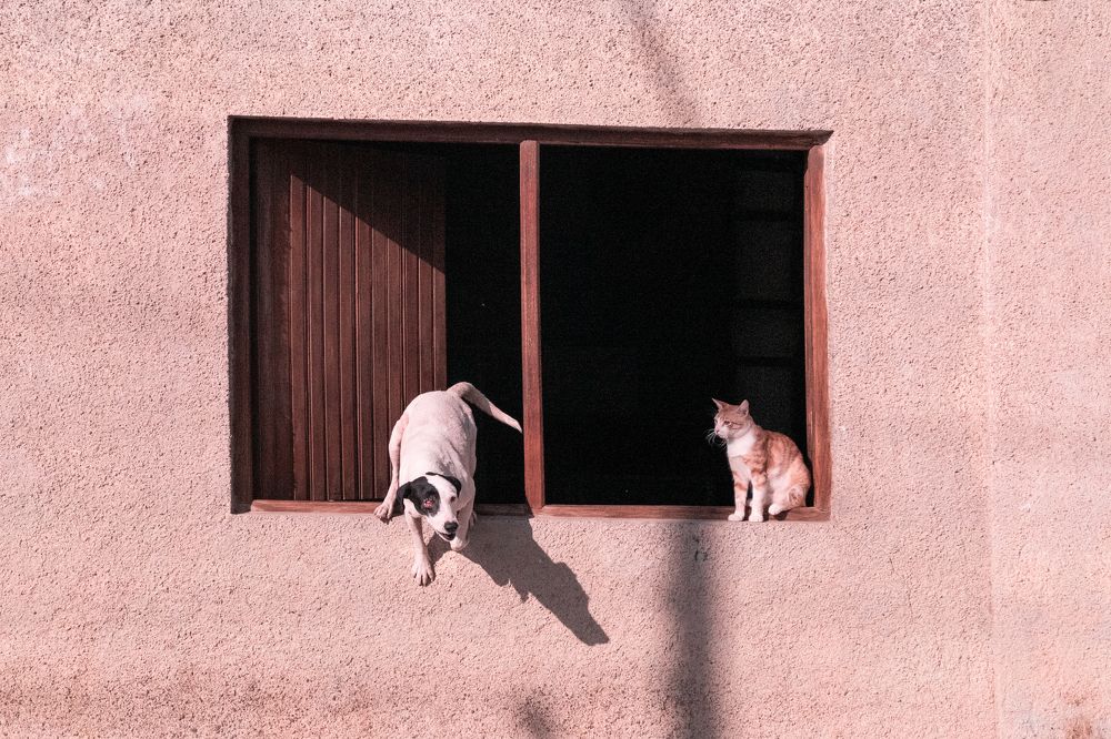 Photograph by Василь Камалов