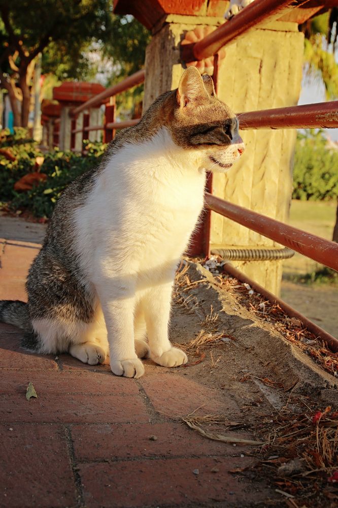 Photograph by Людмила Савчук