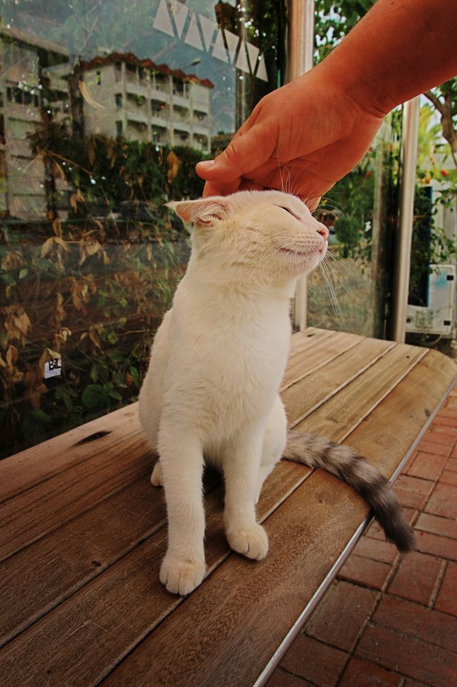 Photograph by Людмила Савчук