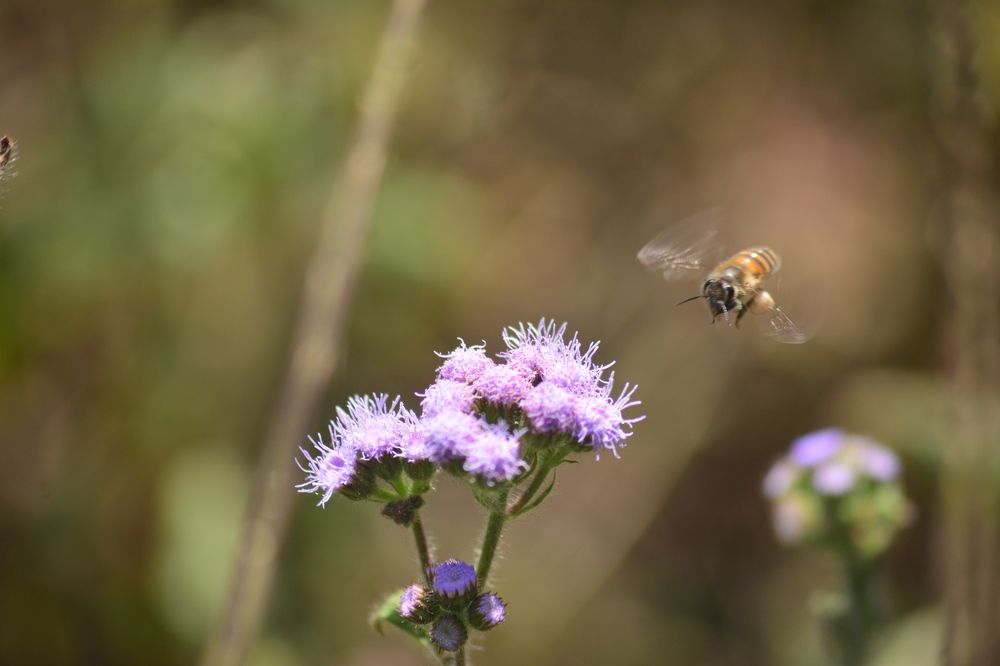 Photograph by Rajesh Kashyap