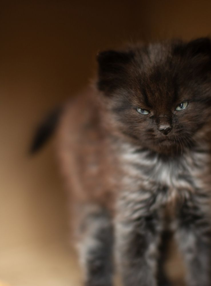 Photograph by Оксана Куриленко