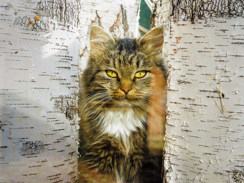 Photograph by Бабурин Олег