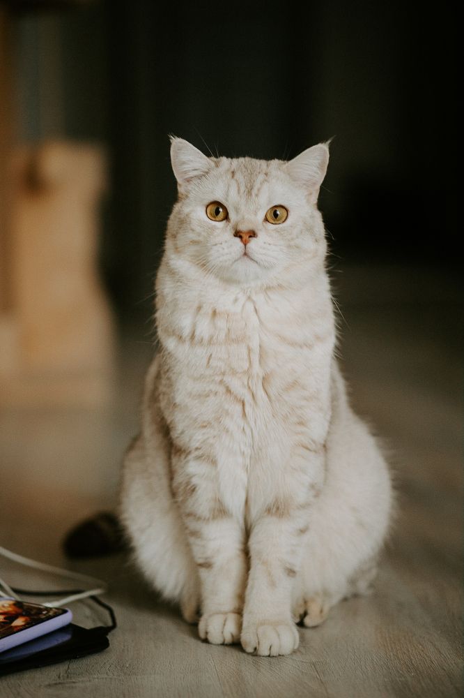 Photograph by Оксана Иванова