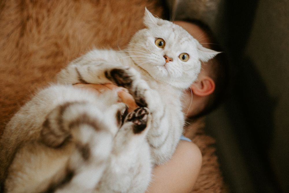 Photograph by Оксана Иванова