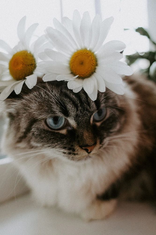 Photograph by Оксана Иванова