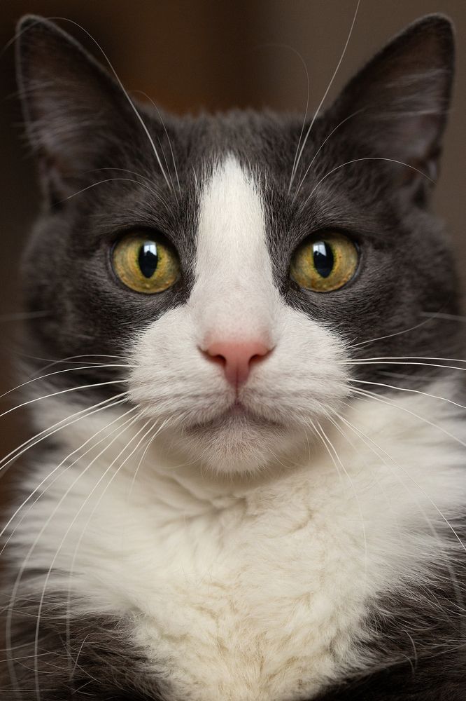 Photograph by Nataliya Ivanova