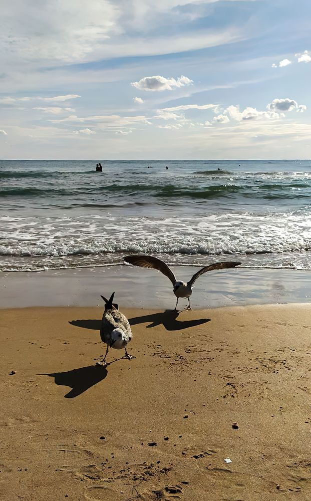 Photograph by ValentinaK