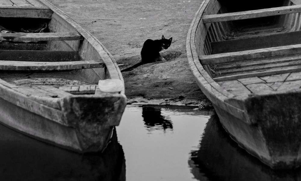 Photograph by SAJAD ABD ALALAH