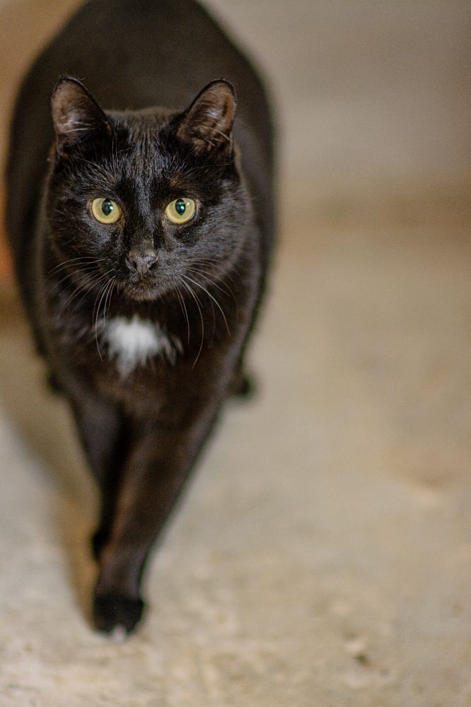 Photograph by Елена Берсенёва