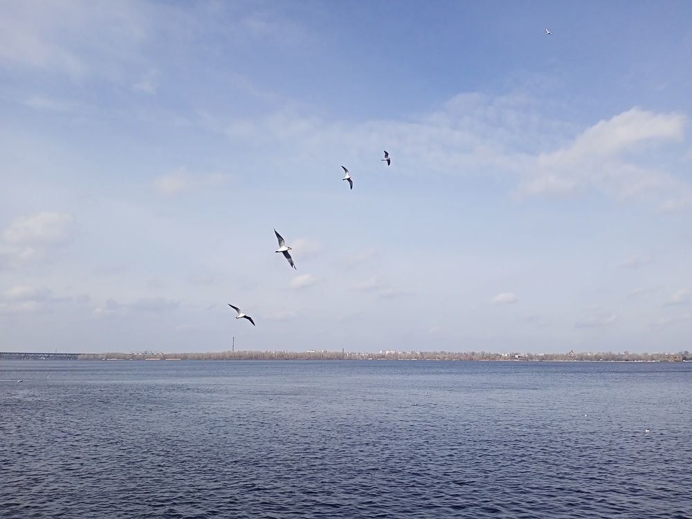 Photograph by Анна Лагун