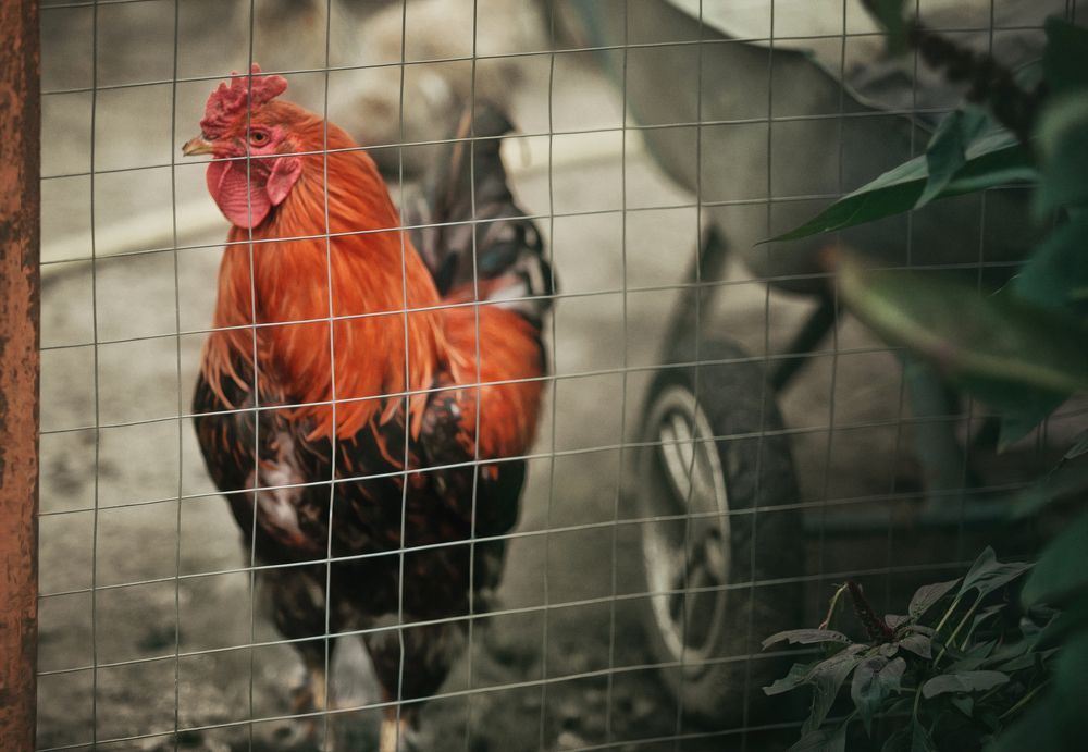 Photograph by Наталья Бондарева