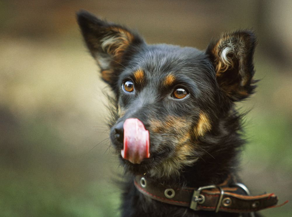 Photograph by Наталья Бондарева