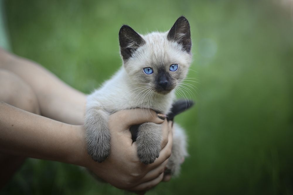 Photograph by Юлия