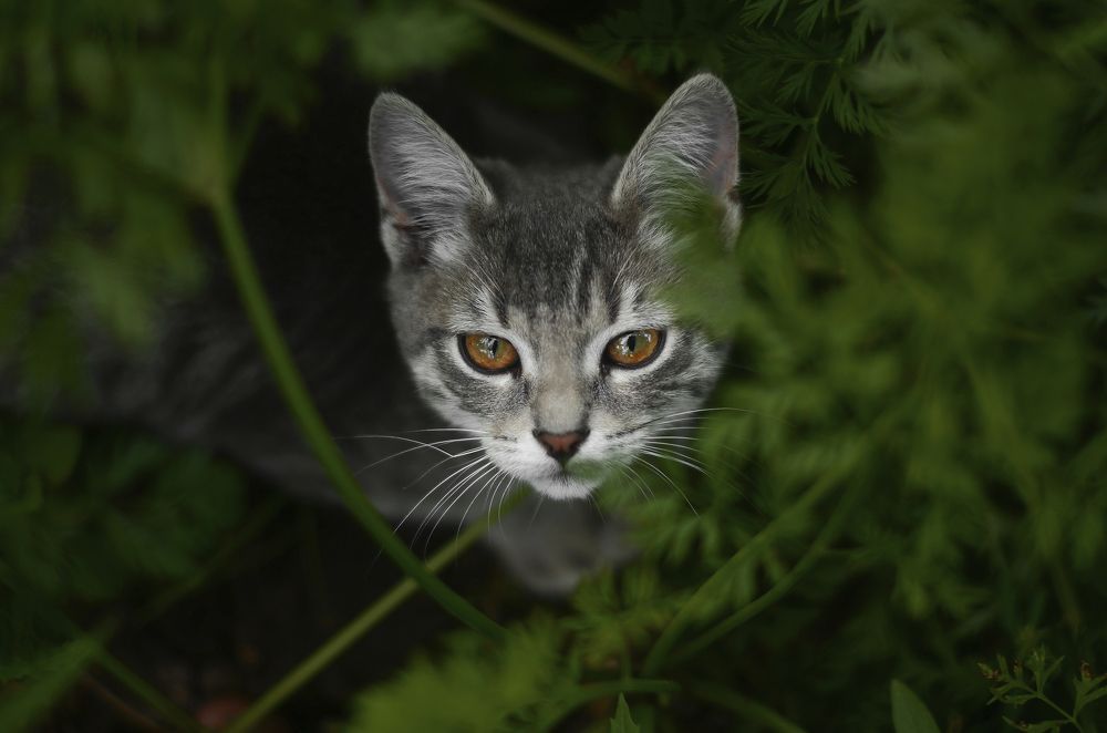 Photograph by Юлия