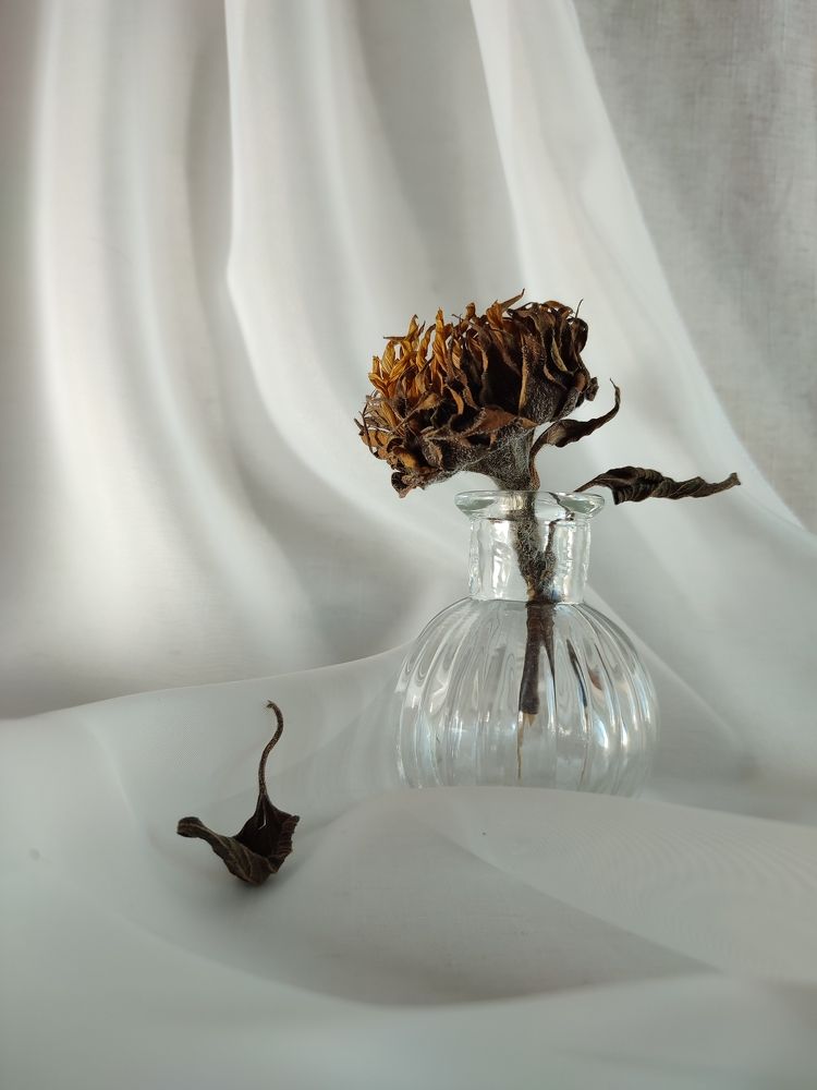 Photograph by Анна Кабиева