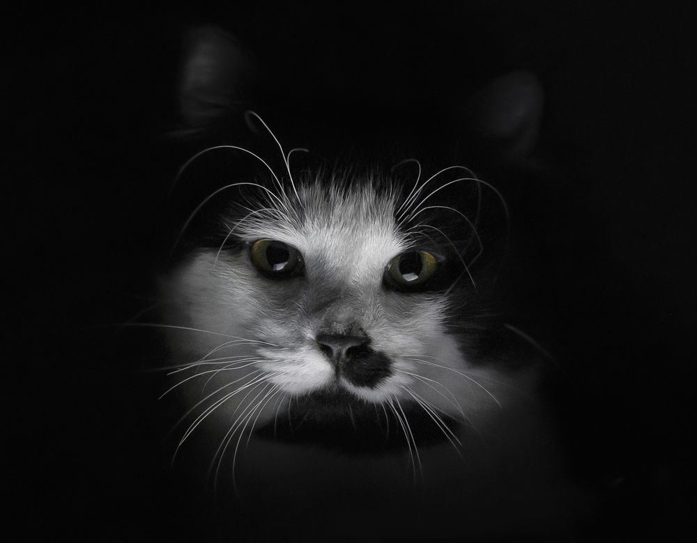 Photograph by Александр Гвоздь