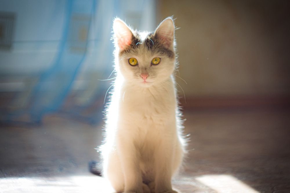 Photograph by Наиль Шакиров