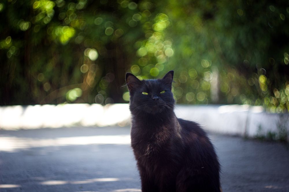 Photograph by Наиль Шакиров