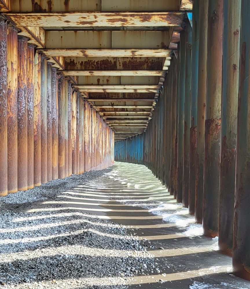 Photograph by Елена