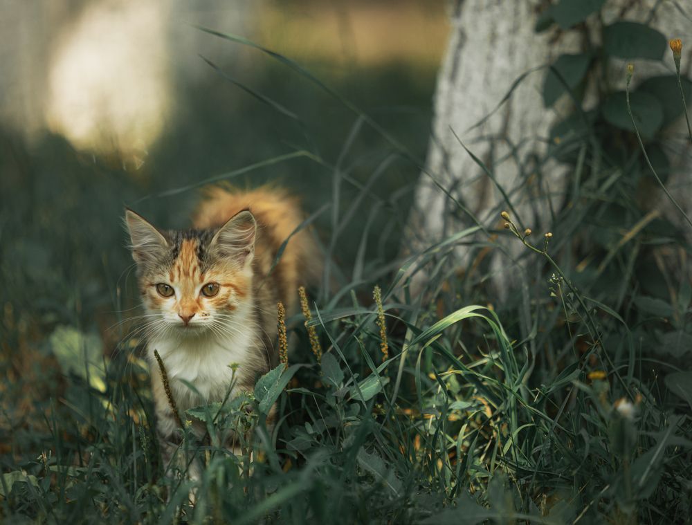 Photograph by Наталья Бондарева