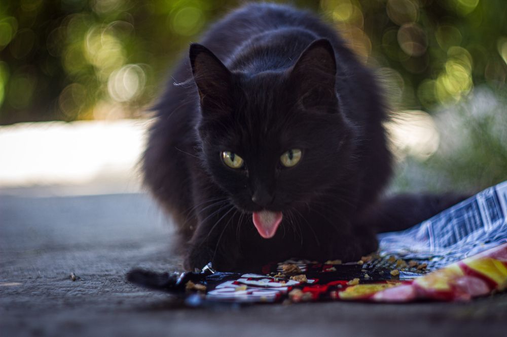 Photograph by Наиль Шакиров